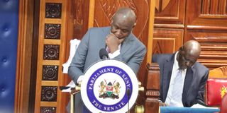 WhatsApp Image 2025-08-28 at 07.02.32 (1)