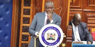 WhatsApp Image 2025-08-28 at 07.02.32