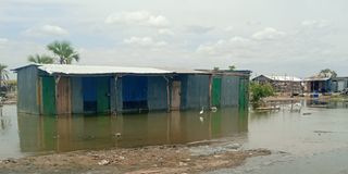 IMG_20240921_123622_324