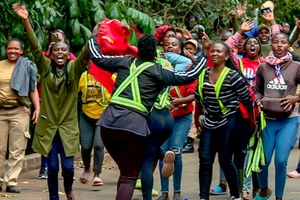 Karura Forest protest 