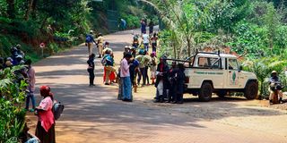 Karura Forest protest 