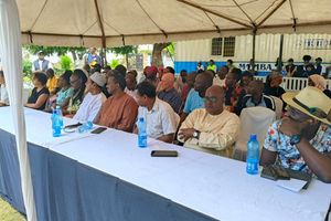 New Content Item (1)