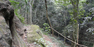 New Content Item (1)