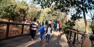 Nairobi Safari Walk