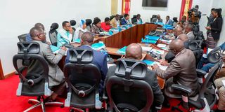 Senate County Public Investments Committee meeting