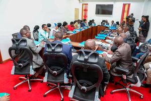 Senate County Public Investments Committee meeting