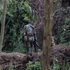 2025-09-18T050105Z_553595157_RC2CIDAJV3IK_RTRMADP_3_CONGO-SECURITY