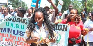 DNUNIVERSITYSTRIKE1709c