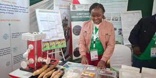 Abigael Chepchumba