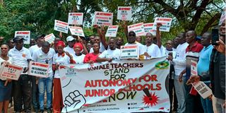 Junior school teachers 