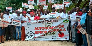 Junior school teachers 