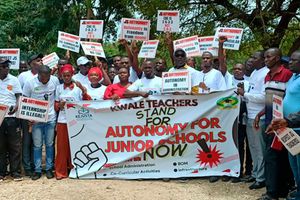 Junior school teachers 