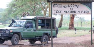 Lake Nakuru National Park 