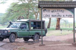 Lake Nakuru National Park 