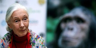 2025-10-01T205415Z_187952582_RC283HA74XSY_RTRMADP_3_PEOPLE-JANE-GOODALL
