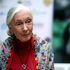 2025-10-01T205415Z_187952582_RC283HA74XSY_RTRMADP_3_PEOPLE-JANE-GOODALL