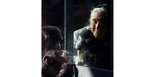 2025-10-01T205405Z_1347268247_RC283HA9E4UK_RTRMADP_3_PEOPLE-JANE-GOODALL