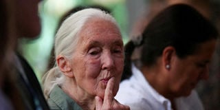 2025-10-01T205411Z_2008075941_RC2NL9A3K5XJ_RTRMADP_3_PEOPLE-JANE-GOODALL