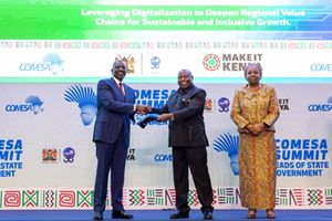 Comesa Summit