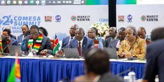 Comesa Summit