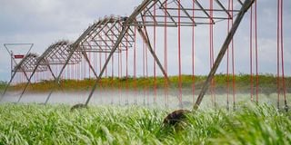 Bura Irrigation Scheme