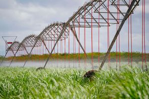 Bura Irrigation Scheme