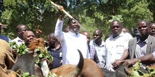 Raila Odinga