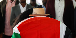 2025-10-18T063606Z_10266844_RC26EHADILVA_RTRMADP_3_KENYA-ODINGA