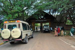Maasai Mara National Reserve's Sekenani Gate