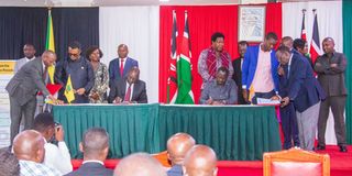 UDA and ODM deal