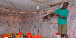 GOLDEmannuelKyalo(1)(2)