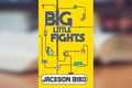 Big Little Fights