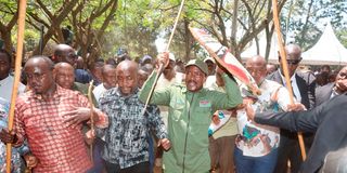 New Content Item (1)