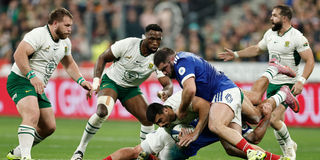 South Africa vs France