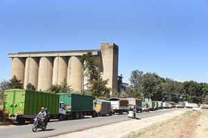 Trucks loaded with maize queuing to deliver the produce to the NCPB, Eldoret depot in Uasin Gishu County on February 02, 2023.