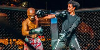 Celebrity Fight Night 