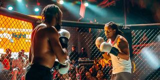 Celebrity Fight Night 