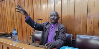 Jackson Safari Katana Yaa