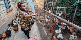 New Content Item (1)