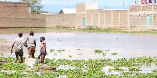 New Content Item (1)