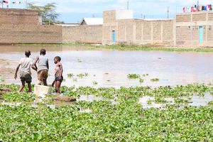 New Content Item (1)