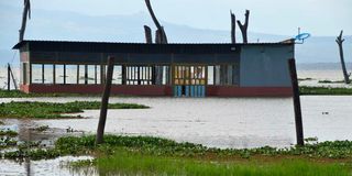 New Content Item (1)