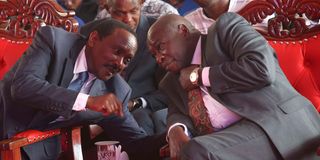 Kalonzo Musyoka and Rigathi Gachagua 