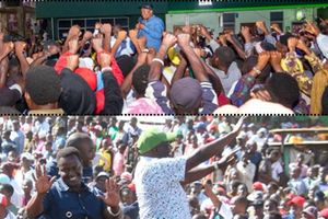 New Content Item (1)