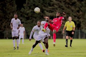 New Content Item (1)