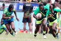Kabras vs KCB