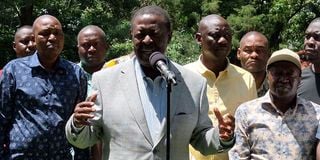 Musalia Mudavadi 