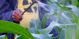 New Content Item (1)