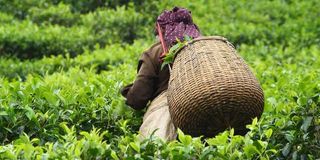 New Content Item (1)