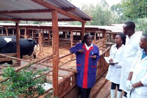 Veterinary students
